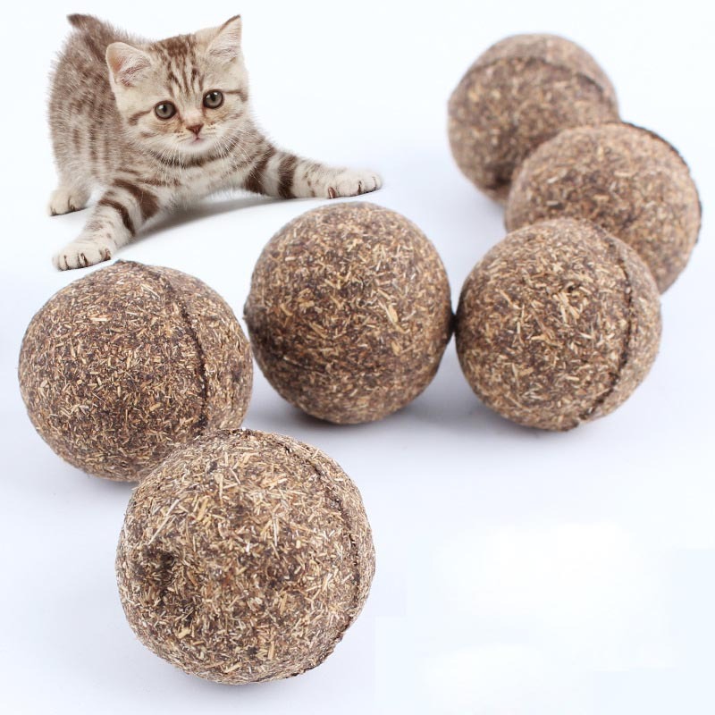cats toys uk